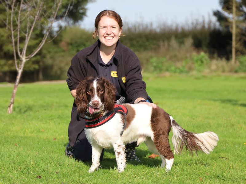 Max for sale in Leeds, Yorkshire