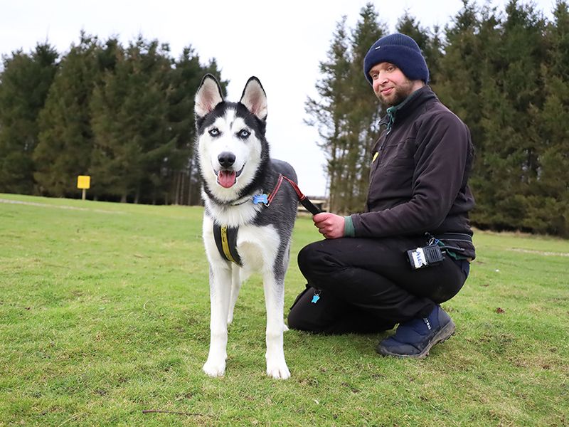 Max for sale in Leeds, Yorkshire